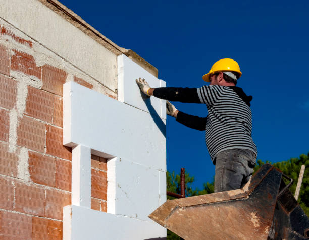 Best Insulation for New Construction  in Louisville, NE
