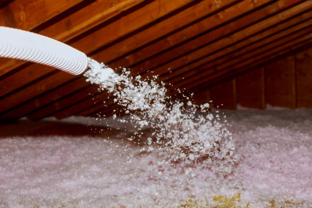 Best Fiberglass Insulation  in Louisville, NE