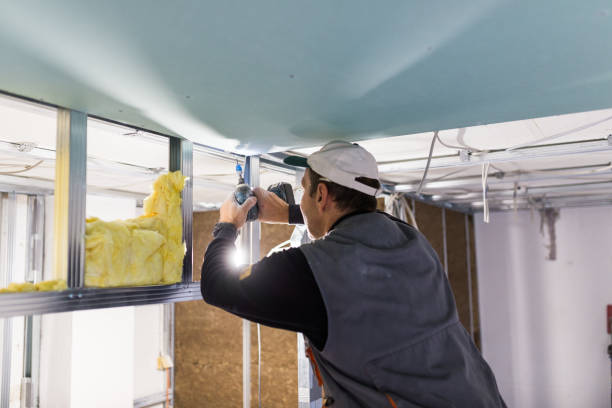 Best Attic Insulation Near Me  in Louisville, NE