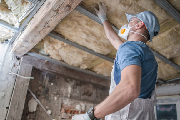 Best Insulation Removal  in Louisville, NE