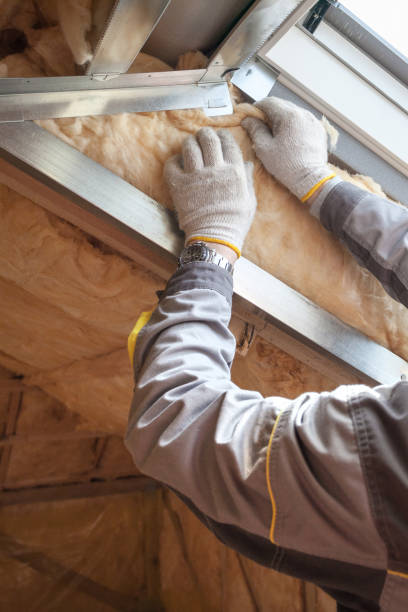 Best Residential Insulation Services  in Louisville, NE