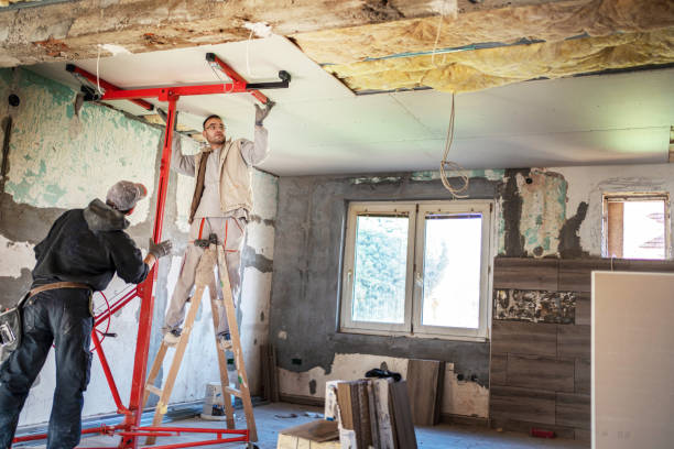 Best Insulation Replacement Services  in Louisville, NE