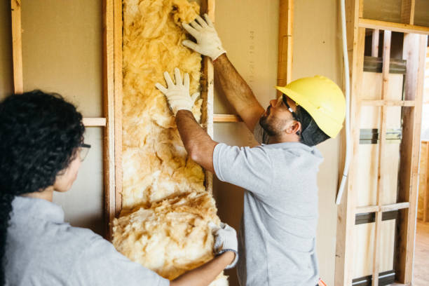 Best Spray Foam Insulation  in Louisville, NE