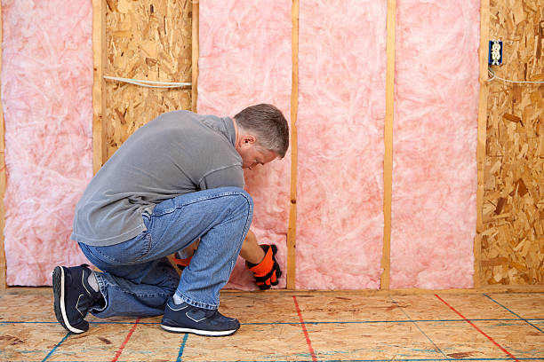Best Energy-efficient Insulation  in Louisville, NE