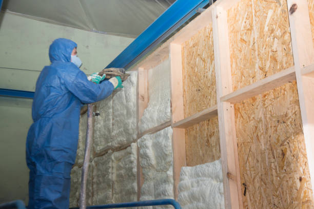 Best Blown-in Insulation  in Louisville, NE