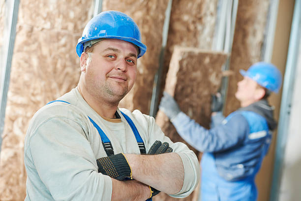 Best Crawl Space Insulation  in Louisville, NE