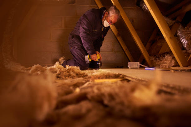 Best Home Insulation Services  in Louisville, NE